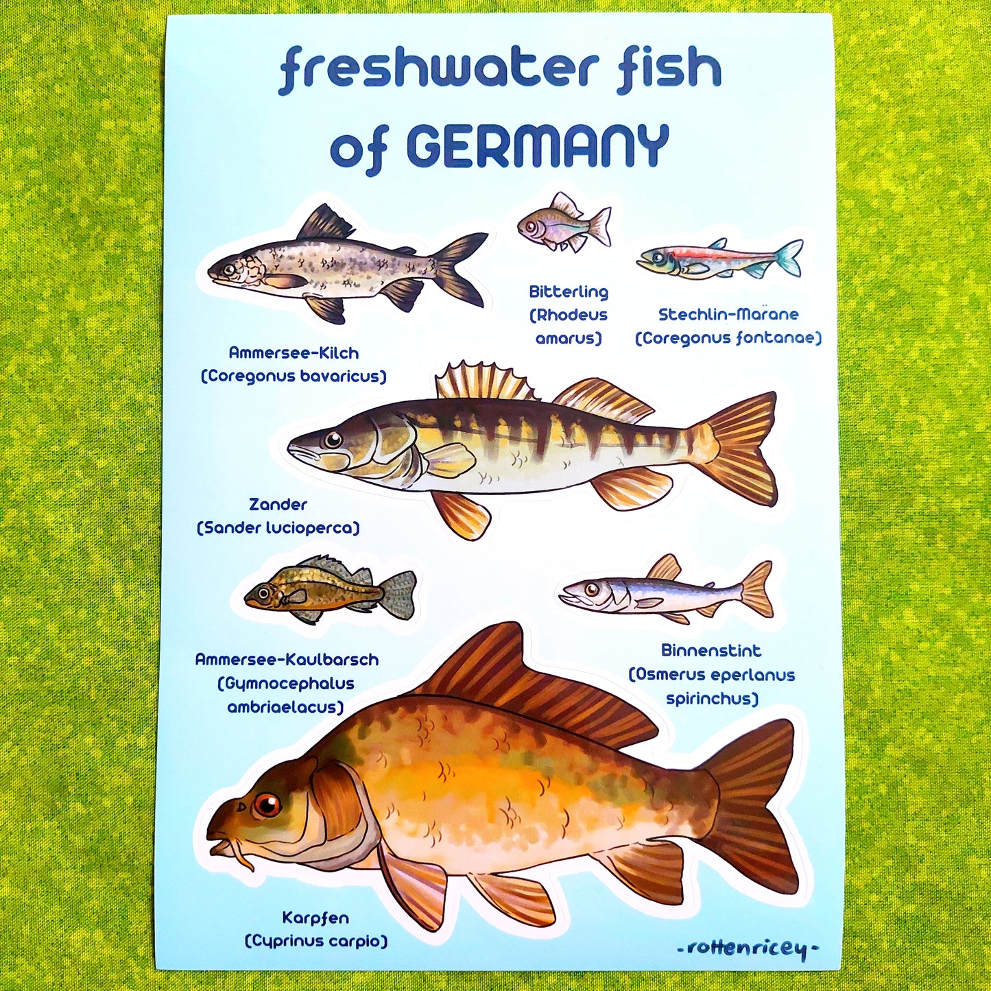 freshwater fish of germany